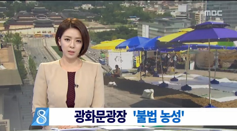 ▲ 세월호 유가족의 농성을 겨냥한 2014년 9월11일 MBC 뉴스데스크
