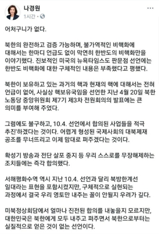 ▲ 나경원 자유한국당 의원이 지난 27일 &lsquo;판문점 선언&rsquo;과 관련해 자신의 페이스북에 올렸다가 수정하기 전에 쓴 글.