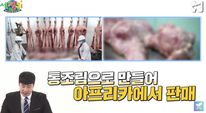 ▲ SBS '모비딕'의 뉴스 리터러시 콘텐츠 '세젤퀴' 화면 갈무리.