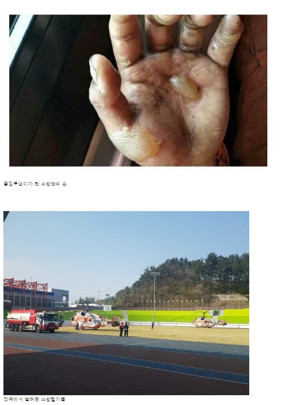 ▲ 속초 화재 당시 소방관 모습을 모은 인터넷 커뮤니티 사진. 실제 이번 화재 당시 소방관의 모습과 뒤섞여 있다.