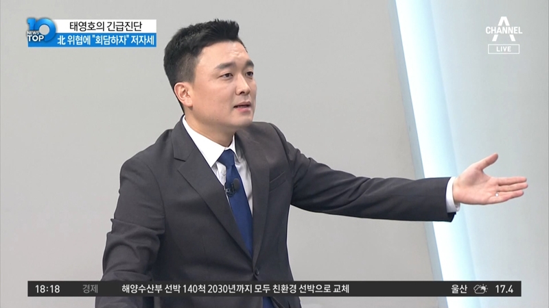 ▲ 지난 10월28일 채널A ‘뉴스TOP10’에 출연해 김정은 위원장의 하얀 말에 또 관심 보인 김종석 씨.