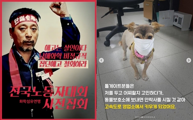 ▲ 움직이는 웹자보(왼쪽)와 톨게이트 노동자들이 키우던 강아지 댕댕이 관련 게시물. 사진=노조스타그램 갈무리