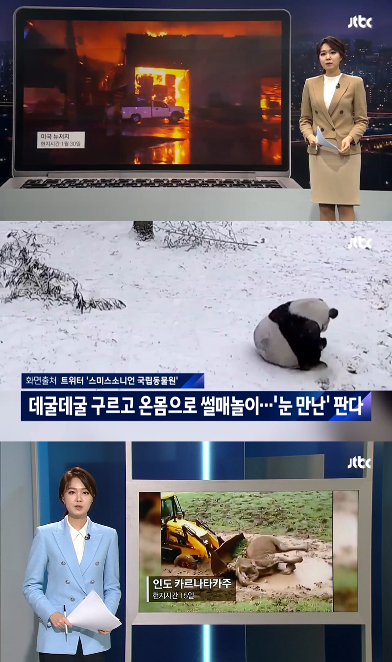 ▲안나경 앵커가 단신 뉴스 영상들을 2부 뉴스 시작 전에 소개한다. 사진= JTBC ‘뉴스브리핑’ 화면 갈무리.