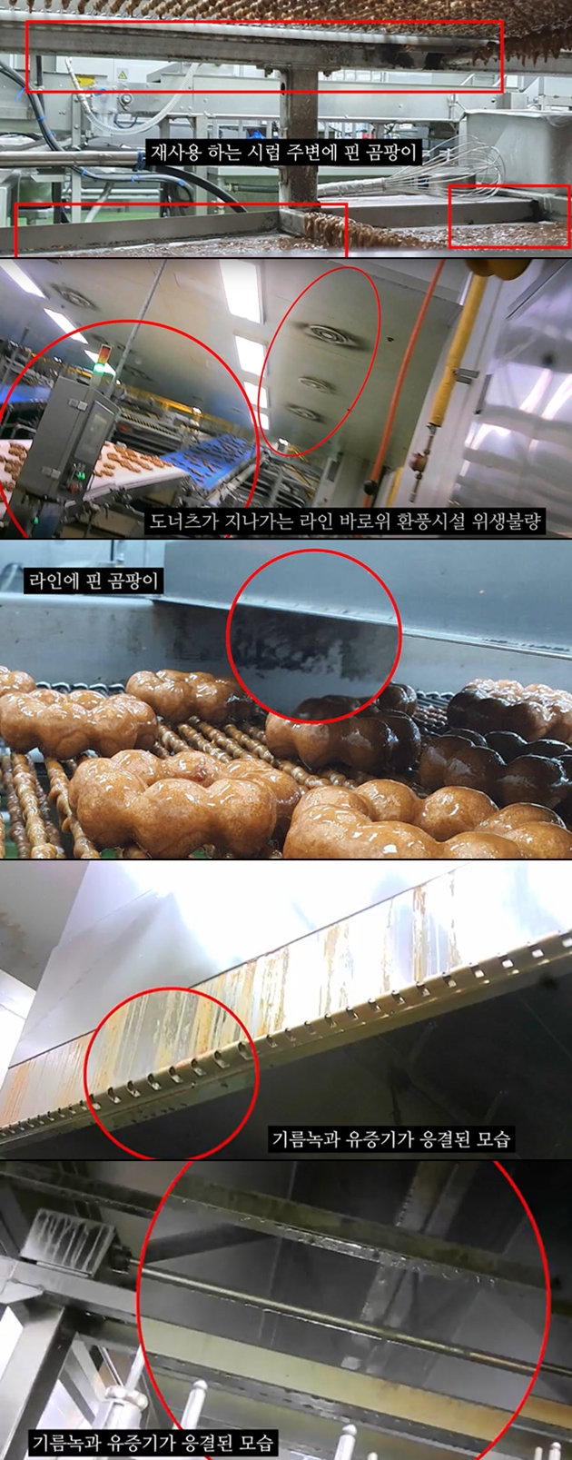 ▲ 공익신고자 A씨가 5일 추가 공개한 던킨 도넛 공장 모습