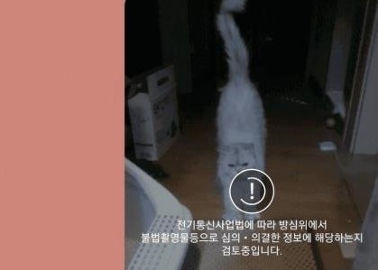 ▲논란이 된 소위 '고양이 동영상 검열' 화면.