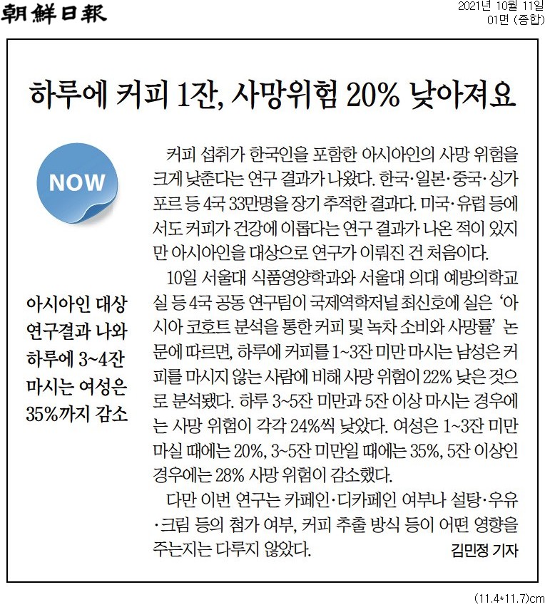▲지난해 10월11일 조선일보 1면 기사. 