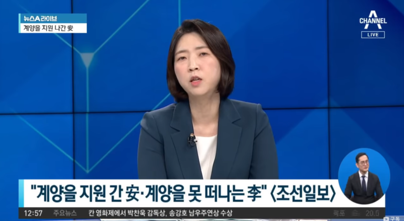 ▲ 채널A 뉴스A LIVE 5월30일 방송화면 갈무리.