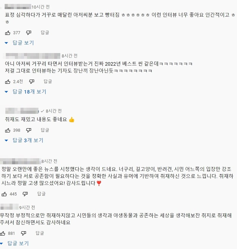 ▲JTBC 밀착카메라 "너구리를 만나면 도망가라"…서울 도심 '너구리 습격사건' 기사에 대한 댓글 반응. 