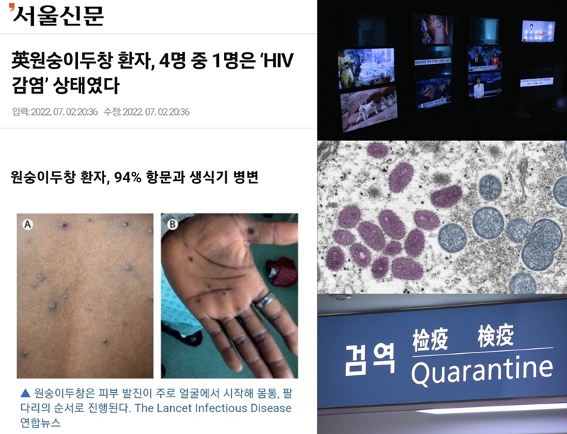 ▲행동하는성소수자인권연대 미디어TF가 3일 논평을 통해 비판한 서울신문 기사(왼쪽)와 MBC 'PD수첩' 관련 이미지. 사진=네이버 뉴스, MBC 