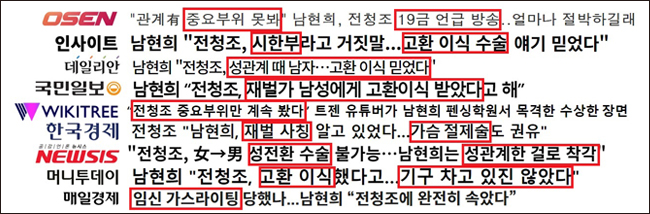 ▲ 남현희·전청조 사건을 보도한 선정적인 기사 제목. 사진=민주언론시민연합