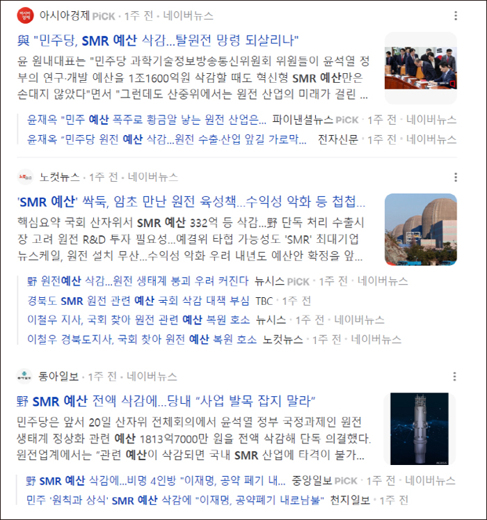 ▲ SMR 예산 삭감 관련 온라인 기사들. 네이버 갈무리