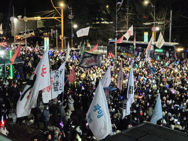 ▲22일 서울 한남동 대통령 관저 인근인 한강진역 앞에서 대규모 집회에 벌어진 가운데 집회 참가자가 가져온 다양한 깃발이 날리는 모습. 사진=김예리 기자