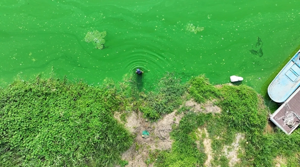 ▲ 영화 '추적' 스틸컷.
