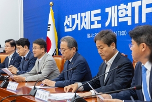 선거제 개혁 TF 띄운 민주당 “필요하면 개헌까지”